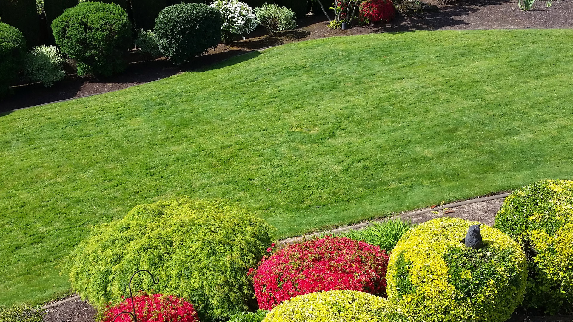A green lawn that we fertilize, treat for weeds, and maintain on a regular basis.