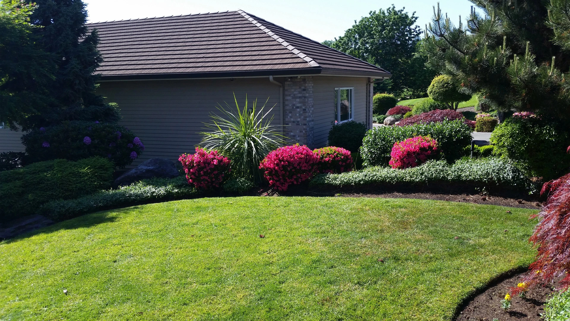 Landscaping with mature shrubs and flowers that we maintain on a regular basis.