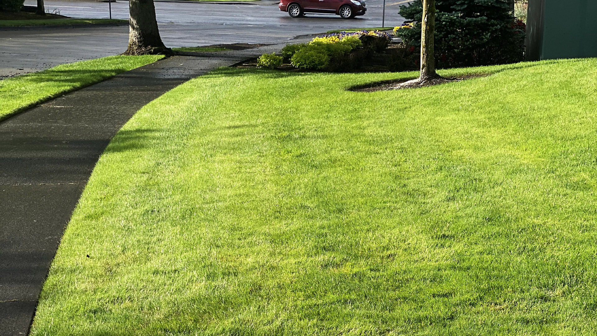 Recently mowed, fertilized, and maintained lawn at a residential property in Vancouver, WA.
