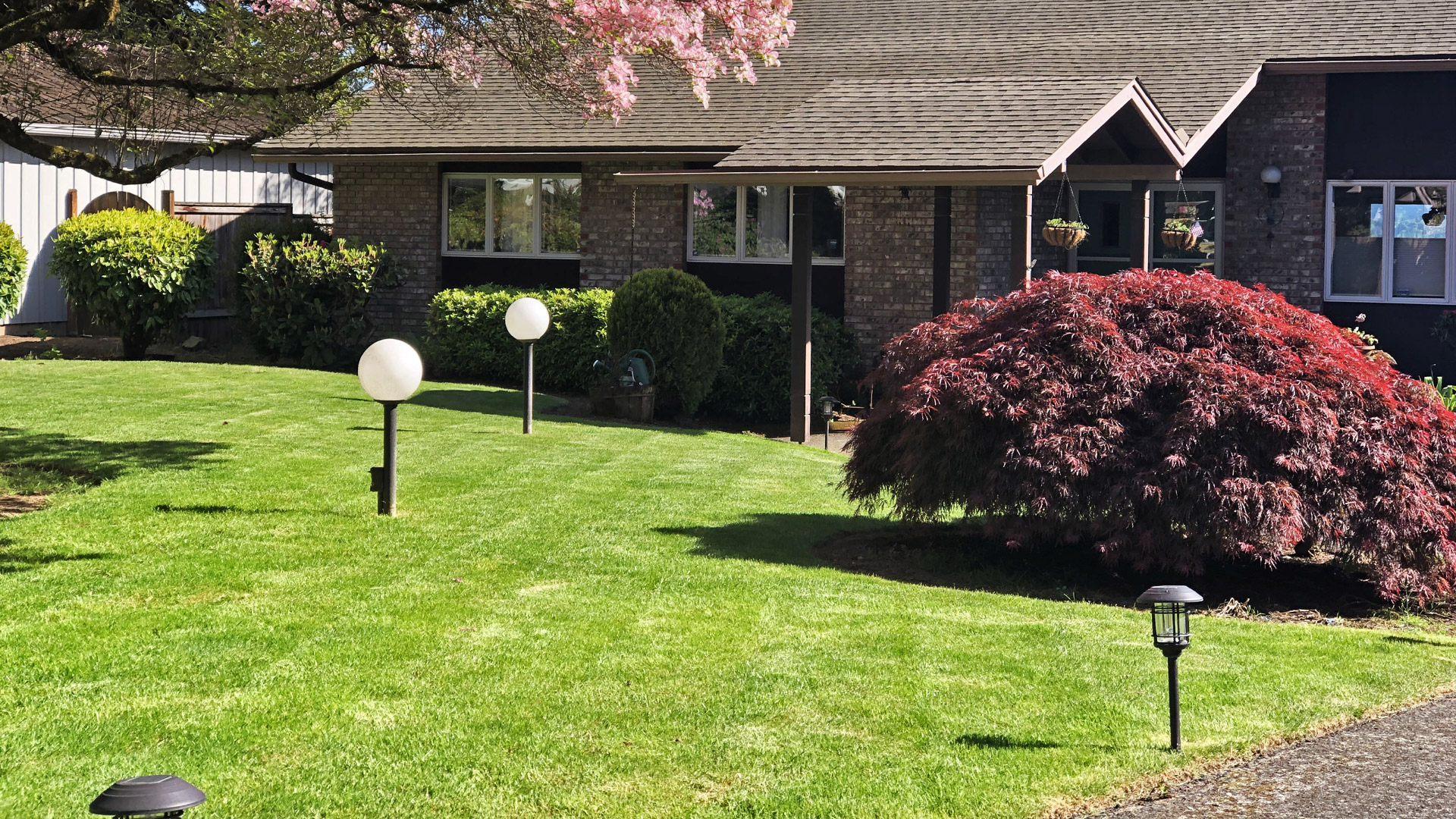 A large front yard that we recently mowed in Vancouver, WA.