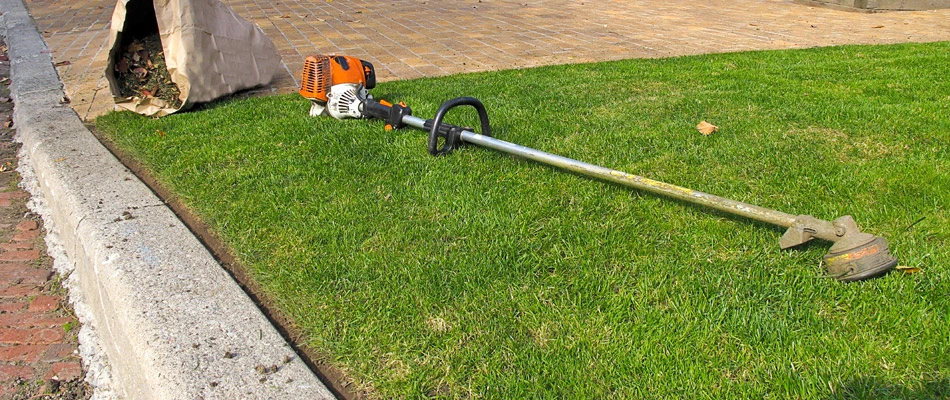 Perfectly edged lawn during one of weekly lawn maintenance services.