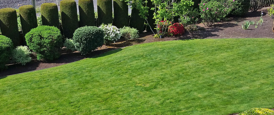 Green lawn with well maintained landscaping at a home in Vancouver, WA.