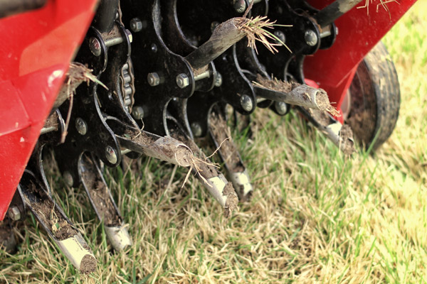 Close up photo of our lawn aerator.