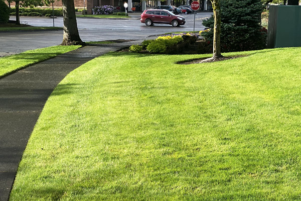 Lawn Care Landscape Management In, Landscaping Vancouver Wa